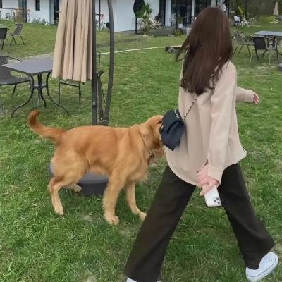 道歉